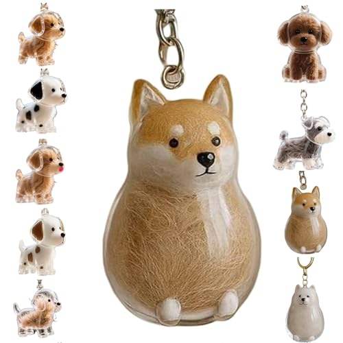 Zengjunwei Hundehaar Sammler Schlüsselanhänger Charme Memorial Storage Box, Haustier Haar Lagerung Schlüsselanhänger,Haustier Katze Hund Haar Lagerung Fall für Tierhalter (H) von Zengjunwei