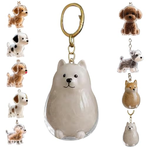 Zengjunwei Hundehaar Sammler Schlüsselanhänger Charme Memorial Storage Box, Haustier Haar Lagerung Schlüsselanhänger,Haustier Katze Hund Haar Lagerung Fall für Tierhalter (I) von Zengjunwei