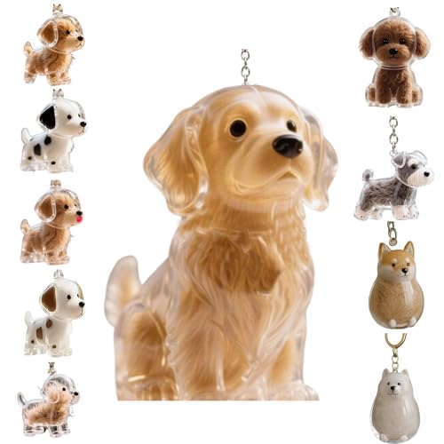 Zengjunwei Hundehaar Sammler Schlüsselanhänger Charme Memorial Storage Box, Haustier Haar Lagerung Schlüsselanhänger,Haustier Katze Hund Haar Lagerung Fall für Tierhalter (K) von Zengjunwei