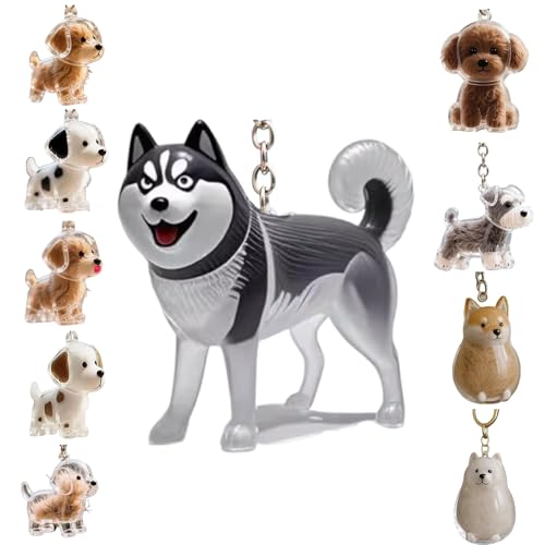 Zengjunwei Hundehaar Sammler Schlüsselanhänger Charme Memorial Storage Box, Haustier Haar Lagerung Schlüsselanhänger,Haustier Katze Hund Haar Lagerung Fall für Tierhalter (M) von Zengjunwei