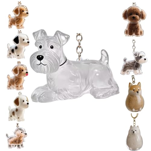Zengjunwei Hundehaar Sammler Schlüsselanhänger Charme Memorial Storage Box, Haustier Haar Lagerung Schlüsselanhänger,Haustier Katze Hund Haar Lagerung Fall für Tierhalter (N) von Zengjunwei