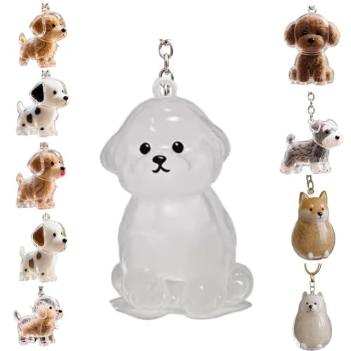 Zengjunwei Hundehaar Sammler Schlüsselanhänger Charme Memorial Storage Box, Haustier Haar Lagerung Schlüsselanhänger,Haustier Katze Hund Haar Lagerung Fall für Tierhalter (O) von Zengjunwei