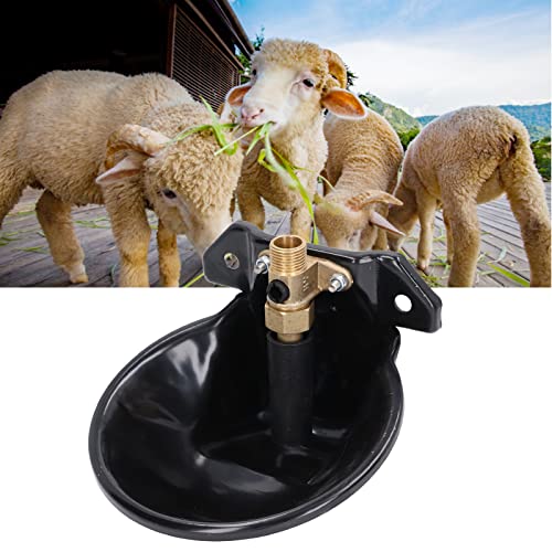 Zenithaur Automatic Vieh Waterer mit eingebautem Kupferventilwasserer. Diese Hochleistungs -Trinkschale für die Tiere ist für Ziege, Schafe, Schweine und Pferde konzipiert Zenithaur Automatic Vieh Waterer mit eingebautem Kupferventilwasserer. Diese Hochleistungs -Trinkschale für die Tiere ist für Ziege, Schafe, Schweine und Pferde konzipiert von ZenithAur