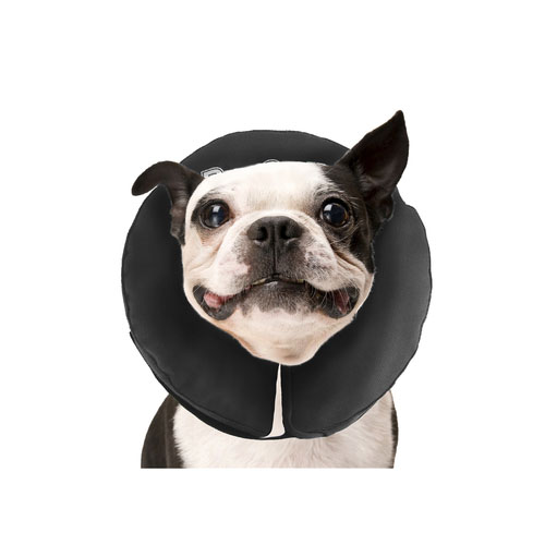 ZenPet Pro Collar - S ZenPet Pro Collar - S von Zenpet