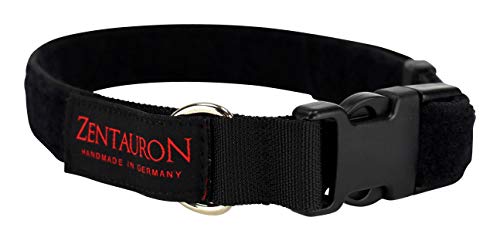 Zentauron Einsatzhalsband Chester I Größenverstellbares Hundehalsband mit Edelstahl-D-Ring Flauschklett & Schnellverschluss I Witterungsbeständiges Hetzhalsband aus Cordura I Schwarz - 2,5cm Zentauron Einsatzhalsband Chester I Größenverstellbares Hundehalsband mit Edelstahl-D-Ring Flauschklett & Schnellverschluss I Witterungsbeständiges Hetzhalsband aus Cordura I Schwarz - 2,5cm von Zentauron