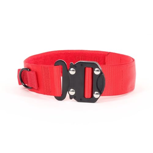 Zentauron Hetzhalsband Kilo 9 Robust & Vielseitig, Stufenlos Verstellbar, Gepolsterter Griff, Zweipunkt Metall-Schnalle, D-Ring zur Leinenbefestigung Zentauron Hetzhalsband Kilo 9 Robust & Vielseitig, Stufenlos Verstellbar, Gepolsterter Griff, Zweipunkt Metall-Schnalle, D-Ring zur Leinenbefestigung von Zentauron