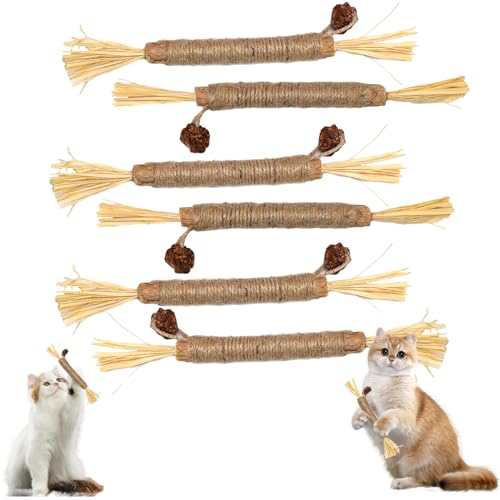 ZephyrCraft 6 Stück Katzenminze Sticks, Natürliches Katzenspielzeug mit Katzenminze, Kausticks für Katzen-Zahnpflege Spielzeug für Katzen, Interaktives Spielzeug für gesunde Zähne und frischen Atem von ZephyrCraft