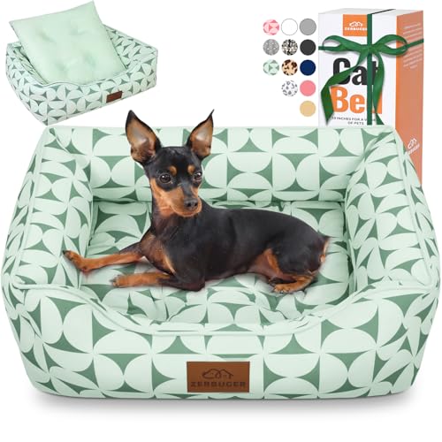 Zerbuger Orthopädisches Katzen-Hundebett für mittelgroße Hunde, Hundesofa, stützendes Schaumstoff-Haustier-Couch-Bett mit herausnehmbarer, waschbarer Matte und rutschfester Unterseite Zerbuger Orthopädisches Katzen-Hundebett für mittelgroße Hunde, Hundesofa, stützendes Schaumstoff-Haustier-Couch-Bett mit herausnehmbarer, waschbarer Matte und rutschfester Unterseite von Zerbuger