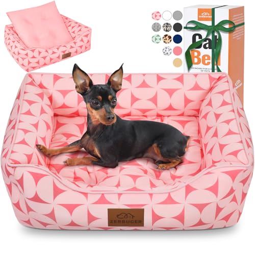 Zerbuger Rechteckiges Katzen- und Hundebett für große, mittelgroße und kleine Haustiere, für drinnen und draußen, maschinenwaschbar, Schlafsofa, rutschfeste Unterseite, weiches Welpenbett, langlebig Zerbuger Rechteckiges Katzen- und Hundebett für große, mittelgroße und kleine Haustiere, für drinnen und draußen, maschinenwaschbar, Schlafsofa, rutschfeste Unterseite, weiches Welpenbett, langlebig von Zerbuger