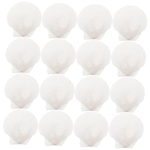 Zerodeko 16stücke Große Scallop Muscheln Charms Naturbelassen Bastelmaterial Meeresdeko Heimwerkerbedarf von Zerodeko