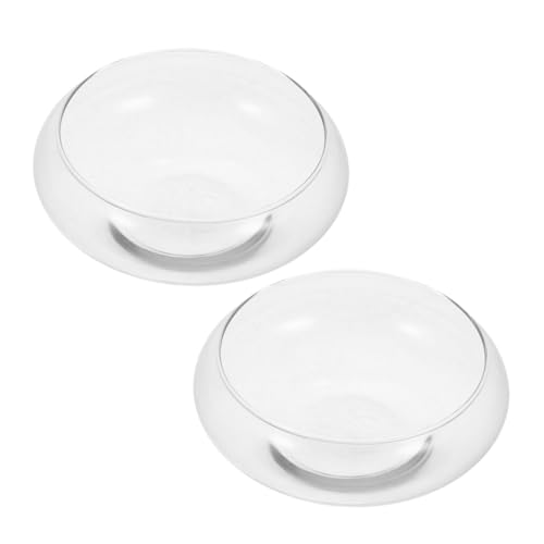 Zerodeko 2stücke Glasvase Terrarium Für Sukkulenten Und Luftpflanzen Hydroponisches Pflanzgefäß Für Aquarien Und Dekorative Tischgestaltung Für Innenräume Und von Zerodeko
