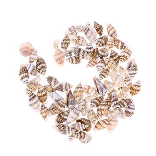 Zerodeko 500stücke Kleine Conch Muscheln Natürliche Muscheln Zum Basteln Strandmuscheln Zur Dekoration Für Haus Aquarium Gestaltung von Zerodeko