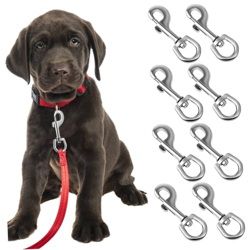 Zerodeko 8 Stück Hundeleinenkopf Karabinerhaken Für Hundeketten Bolzenverschluss Für Schlüsselbund Kettenclips Auslösehaken Karabinerhaken Für Hundeleine Fahnenhaken Silver Rostfreier Stahl Zerodeko 8 Stück Hundeleinenkopf Karabinerhaken Für Hundeketten Bolzenverschluss Für Schlüsselbund Kettenclips Auslösehaken Karabinerhaken Für Hundeleine Fahnenhaken Silver Rostfreier Stahl von Zerodeko