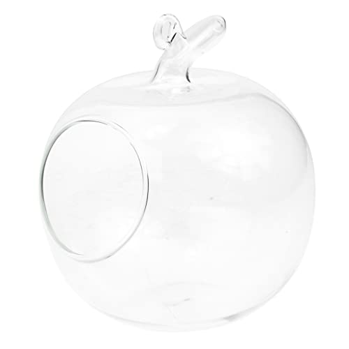 Zerodeko Apfelförmige Glasflasche Kreatives Terrarium für Pflanzen und Mikrolandschaften zur Dekoration von Wohnräumen Robuster und Transparenter Behälter für Hydrokultur und Crafting von Zerodeko