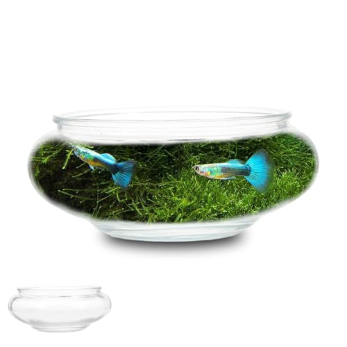 Glas-Fischglas: Hydrokultur-Blumentopf Lotus-Hydrokultur-Behälter Klarglas-Aquarium Kleines Aquarium Rundes Glasaquarium Für -Betta von Zerodeko