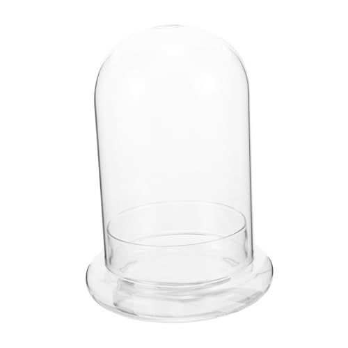 Zerodeko Glasflasche für Mikrolandschaften Dekorative Klarglaskuppel für DIY Blumenpflanzen Terrarium Langlebig und Leicht für Kreative Innenraumgestaltung und Platzsparende Zerodeko Glasflasche für Mikrolandschaften Dekorative Klarglaskuppel für DIY Blumenpflanzen Terrarium Langlebig und Leicht für Kreative Innenraumgestaltung und Platzsparende von Zerodeko