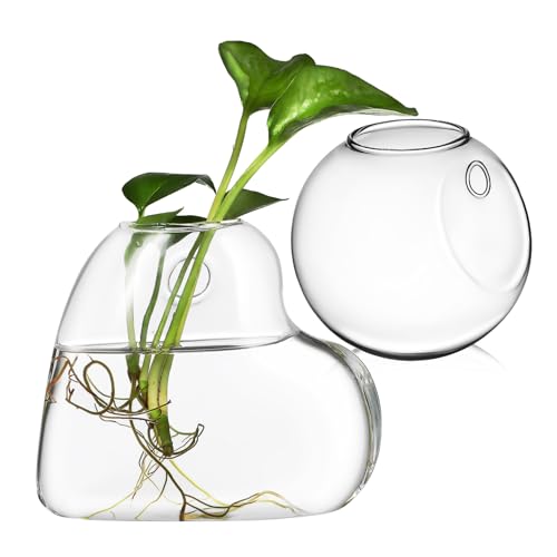 Zerodeko Hängendes Wandpflanzgefäß-Set Aus Glasvasen 2er-Pack – Wandpflanzen-terrarien Glaspflanzentopf Für Den Innenbereich Mit Müheloser Montage Und Doppelter Verwendung Als Fischglas Zerodeko Hängendes Wandpflanzgefäß-Set Aus Glasvasen 2er-Pack – Wandpflanzen-terrarien Glaspflanzentopf Für Den Innenbereich Mit Müheloser Montage Und Doppelter Verwendung Als Fischglas von Zerodeko