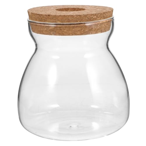 Zerodeko Ökologische Mikrolandschaftsflasche Behälter Drinnen Anlage Mikrolandschaft Terrarium Dekorativ Pflanzenterrarium Pflanzen Terrarium Ständer Vermehrungsgefäße Transparent Hölzern von Zerodeko