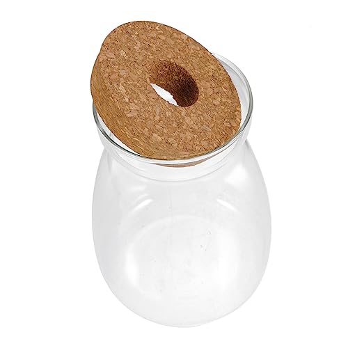 Zerodeko Ökologische Mikrolandschaftsflasche Mini Pflanzenterrarium Pflanzentopf für drinnen Terrarien System groß zimmerpflanzen Einmachglas Mikro-Landschaftsbehälter hölzern Transparent von Zerodeko