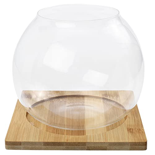 Zerodeko Terrarienschüssel für Terrariumbehälter aus Glas mit Holzsockel, kleine Schale für Aquarien, Bubble Garden Garden von Zerodeko
