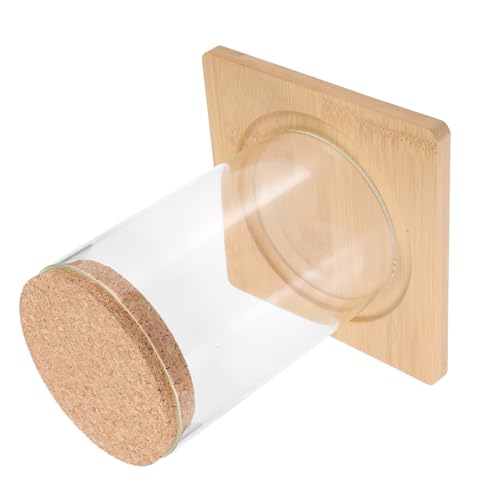 Zerodeko Terrarium für Pflanzen Ökologischer Pflanztopf mit Holzstopfen Zylinderform für Sukkulenten Deko Pflanzenflaschengarten Transparentes Design Wohnzimmer Büro Zerodeko Terrarium für Pflanzen Ökologischer Pflanztopf mit Holzstopfen Zylinderform für Sukkulenten Deko Pflanzenflaschengarten Transparentes Design Wohnzimmer Büro von Zerodeko