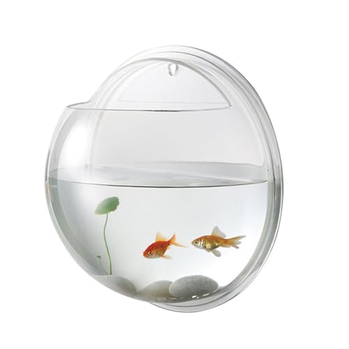 Zerodeko Transparente, an Der Wand Montierte Fischschale aus Acryl, Hängende, an Der Wand Montierte Fischtank-Dekoration für Betta, Heimdekoration, Klar Zerodeko Transparente, an Der Wand Montierte Fischschale aus Acryl, Hängende, an Der Wand Montierte Fischtank-Dekoration für Betta, Heimdekoration, Klar von Zerodeko