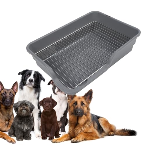 Hundetöpfchen-Tablett, Pinkelpad-Halter, 48,3 X 33 cm, für den Innenbereich, für Hundetraining, Toilette für Hunde, Badezimmer, Hundetoilette, Kunststoff-Töpfchentablett, (Grey) von Zerodis