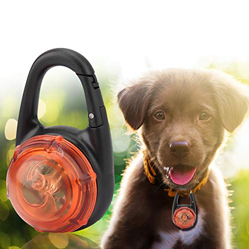 LED Leuchtende Haustier Hund Halskette Halsband für Nacht Spaziergänge und Sicherheit (Orange) von Zerodis
