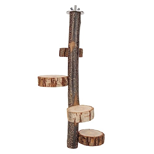 Papageien-Hängeplattform-Ständer, Spielzeugklotz, Sicheres und Langlebiges Vogel-Plattform-Ständerspielzeug für Unterhaltung Papageien-Hängeplattform-Ständer, Spielzeugklotz, Sicheres und Langlebiges Vogel-Plattform-Ständerspielzeug für Unterhaltung von Zerodis