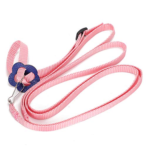 Pet Lizard Leash Harness Rope, verstellbare Leine an der Leine für kleine Haustiere Reptile Outdoor Walking von Zerodis