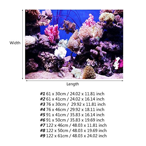 Zerodis 3D-Effekt-Poster, Aquarium-Dekoration und Landschaftsbauzubehör, Seaworld-Poster für die Dekoration von Aquarien, 61 X 30 cm, Fisch-Poster, Hochwertiges PVC-Material, für den von Zerodis