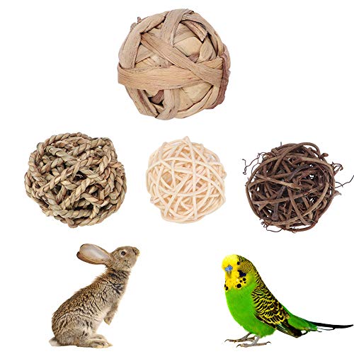 Zerodis 4PCS/Pack Vogel Kauspielzeug, Kaninchen Hase Zahnen behandelt Kleintier Gras Ball Sepak Takraw für kleine mittelgroße Vögel Haustierbedarf(Ball) von Zerodis
