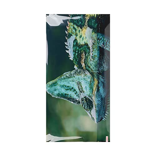 Zerodis Aquarium-Hintergrund, Aquarium-Dekoration und Landschaftsbau-Zubehör, Effekte, Mehrzweck-Aquarium-Dekoration, Bild für Aquarium, Aquascape, Aquarium-Aufkleber mit 3D-Effekten, von Zerodis