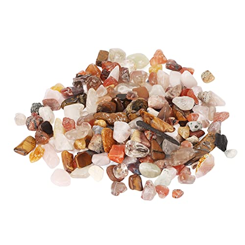 Zerodis Dekorative Pflanze Hohe Brillbrilln Rockt für 100 G Fisch für Gärten Zerodis Dekorative Pflanze Hohe Brillbrilln Rockt für 100 G Fisch für Gärten von Zerodis