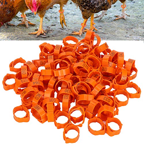 Zerodis Geflügel Fuß Ring, 100 Stück 001-100 nummeriert Kunststoff Vogel Beinbänder Ringe Geflügel Hühner Enten Gans Beinbänder Ringe(Orange) von Zerodis