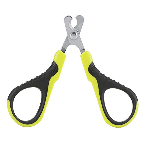 Zerodis Haustier Nagelknipser, professionelle Katze Hund Welpe Klaue Schere Haustier Pflege Werkzeug für kleine Hund Katze Hase Kaninchen Vogel Welpe Kätzchen Frettchen Zerodis Haustier Nagelknipser, professionelle Katze Hund Welpe Klaue Schere Haustier Pflege Werkzeug für kleine Hund Katze Hase Kaninchen Vogel Welpe Kätzchen Frettchen von Zerodis