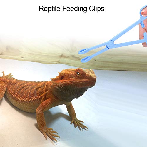Zerodis Hochwertige Plastikreptilien-Fütterungspähte für Eidechsenschildkröten, Blauer Anti-Rutsch-Griff, 1 Pack von Zerodis