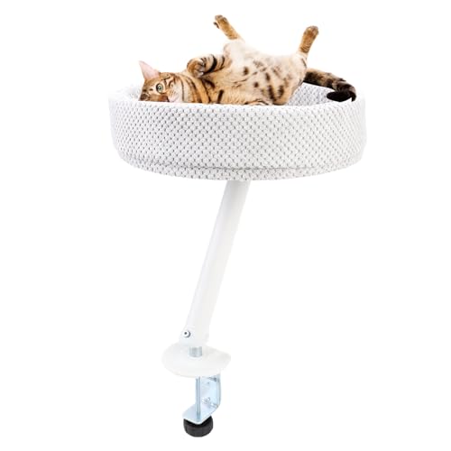 Zerodis Katzenschreibtischbett, Stabile Rahmen Einstellbare Klemme Weiche Plüsch Kitty Schreibtisch Rest Bett Barsch Schreibtisch Montiertes Katzenbett Indoor Cat Game Island Zerodis Katzenschreibtischbett, Stabile Rahmen Einstellbare Klemme Weiche Plüsch Kitty Schreibtisch Rest Bett Barsch Schreibtisch Montiertes Katzenbett Indoor Cat Game Island von Zerodis