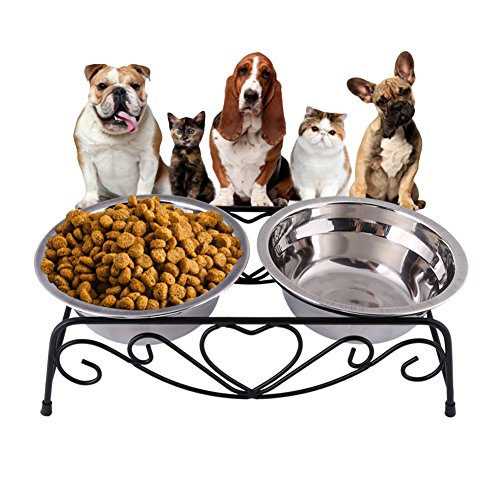 Zerodis Pet Feeding Bowl, 2 PCS Edelstahl rutschfeste Basis Dog Bowl Cat Bowl Feeding Bewässerungszubehör mit Geschirrregal Ständer für Hunde Katzen Zerodis Pet Feeding Bowl, 2 PCS Edelstahl rutschfeste Basis Dog Bowl Cat Bowl Feeding Bewässerungszubehör mit Geschirrregal Ständer für Hunde Katzen von Zerodis