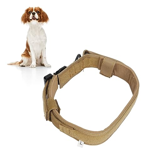 Zerodis Veränderbares Hundehalsband mit Metallschnallen, Haustier-Trainingshalsband mit D-Ring-Schnalle für Kleine, Veränderbare Hundehalsbänder aus Metall, Anpassbare Schnallen für das Zerodis Veränderbares Hundehalsband mit Metallschnallen, Haustier-Trainingshalsband mit D-Ring-Schnalle für Kleine, Veränderbare Hundehalsbänder aus Metall, Anpassbare Schnallen für das von Zerodis