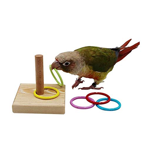 Zerodis Vogel-Trainingsring-Spielzeug, Interaktiver Papageien-Trick-Stapelring mit Sockel Pädagogisches Vogel-Tischspielzeug für Kleine Mittelgroße Vögel von Zerodis