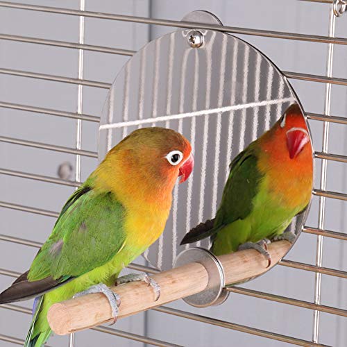 Zerodis Vogelspielzeug Papageiung Barches Tassen mit Spiegel Vogel Käfig Holzstange Spielzeug Spielzeug Birdcage Accessoires für Bird Zerodis Vogelspielzeug Papageiung Barches Tassen mit Spiegel Vogel Käfig Holzstange Spielzeug Spielzeug Birdcage Accessoires für Bird von Zerodis