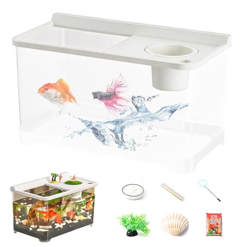 Betta Fischtank 3 Farblicht - Haushaltsfischtank | Top Hydroponisches Aquarium Für Tischländer, Zuhause, Arbeitsplatz, Eingang, Foyer, Schlafzimmer, Innendekoration, Kleine Haustiere, Entspannung, Ges von Zestivra