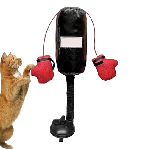 Boxsbackkatze Spielzeug -Sandbag mit Handschuhen Katzenspielzeug, Vista Kätzchen Sandbag Playjim -Pet Boxing Bag Übung Tee -Tisor für Haustiere, Kätzchen, kleine Hunde, Welpen tätig Tee Kreatives Boxt Boxsbackkatze Spielzeug -Sandbag mit Handschuhen Katzenspielzeug, Vista Kätzchen Sandbag Playjim -Pet Boxing Bag Übung Tee -Tisor für Haustiere, Kätzchen, kleine Hunde, Welpen tätig Tee Kreatives Boxt von Zestivra