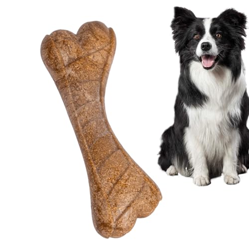 Hard Dog Bone - Hartes Hundeknochenspielzeug - Begleiter langlebiger Reinigung Zahnbürstenknochen | Zuverlässige Materialien für Lebensmittelqualität pp harte Hundeknochenspielzeug für große/mit von Zestivra