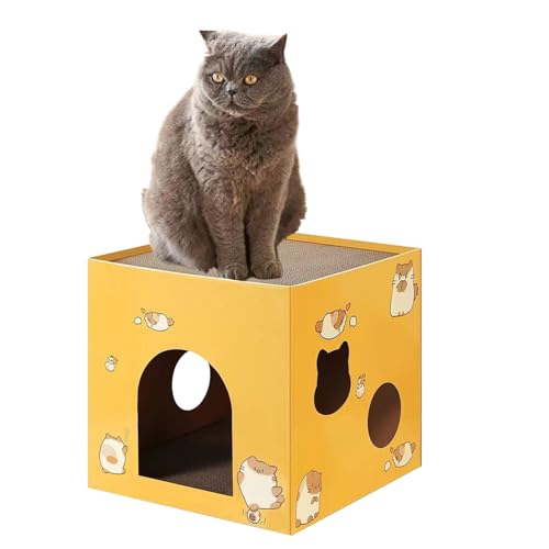 Katzenkrallenschärfer – Kratzbare Würfelhütte, Boxed Pet Claw File Tool | Bodenmatte, Kratznest Pad, geschichtetes Papier, Katzenhütte, Kratzbasis für Haustier-Kätzchen, Nagelpflege Routine Katzenkrallenschärfer – Kratzbare Würfelhütte, Boxed Pet Claw File Tool | Bodenmatte, Kratznest Pad, geschichtetes Papier, Katzenhütte, Kratzbasis für Haustier-Kätzchen, Nagelpflege Routine von Zestivra