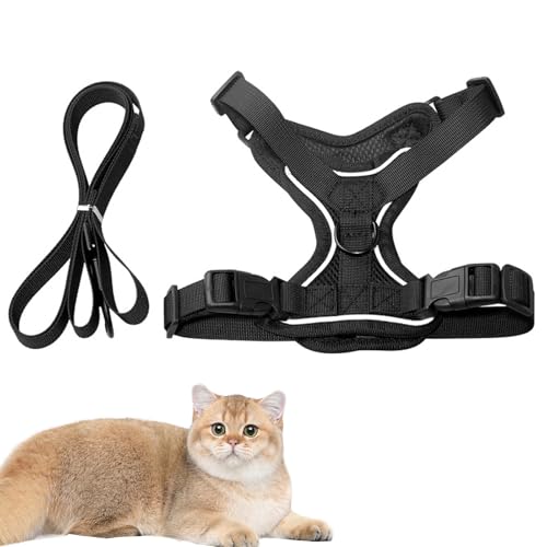 Sandwich-Mesh - leichte Haustierweste mit Netzpolsterung, reflektierende Sicherheitsgurte für Erkundungen im Freien, ideal für Spaziergänge mit Katzen, kleinen Hunden und anderen Kleintieren Sandwich-Mesh - leichte Haustierweste mit Netzpolsterung, reflektierende Sicherheitsgurte für Erkundungen im Freien, ideal für Spaziergänge mit Katzen, kleinen Hunden und anderen Kleintieren von Zestivra