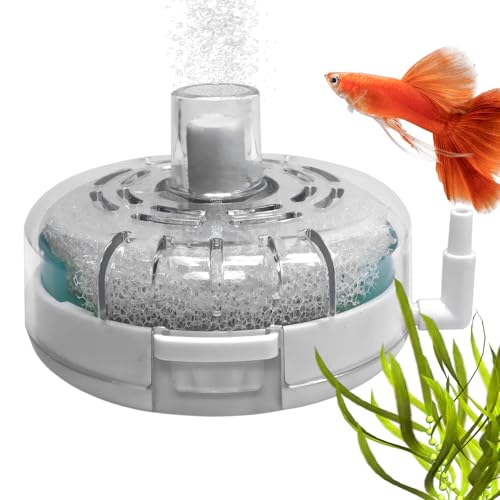 Wasserpumpenfilter - Mini -Aquariumreinigungseinheit, kompakte Wasserzirkulationsvorrichtung | Advanced Multi -Layer -Filtrationssystem mit Belüftungsanerachse für Turtle Tond Süßwassersalzwas Wasserpumpenfilter - Mini -Aquariumreinigungseinheit, kompakte Wasserzirkulationsvorrichtung | Advanced Multi -Layer -Filtrationssystem mit Belüftungsanerachse für Turtle Tond Süßwassersalzwas von Zestivra
