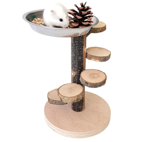 Zestivra Hamster Leiter Für Käfig - Nagerleiter aus Holz mit Spielplatz für Käfigausstattung,Spiel- & Futterspielzeug Mit Nagestation, Gehegedekoration Für Eichhörnchen, Chinchilla Und Kleintiere Zestivra Hamster Leiter Für Käfig - Nagerleiter aus Holz mit Spielplatz für Käfigausstattung,Spiel- & Futterspielzeug Mit Nagestation, Gehegedekoration Für Eichhörnchen, Chinchilla Und Kleintiere von Zestivra