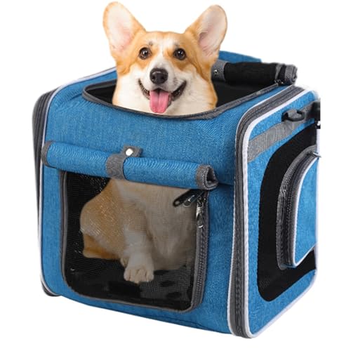 Zestivra Hund Fahrrad Korb, Fahrradkorb Transportbox, Einstellbare Tasche Rucksack Belüfteter Transportbeutel Für Transport Ausflug Radfahren Camping Wandern Zestivra Hund Fahrrad Korb, Fahrradkorb Transportbox, Einstellbare Tasche Rucksack Belüfteter Transportbeutel Für Transport Ausflug Radfahren Camping Wandern von Zestivra